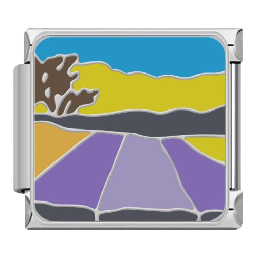CHARM NATURALEZA DESIERTO