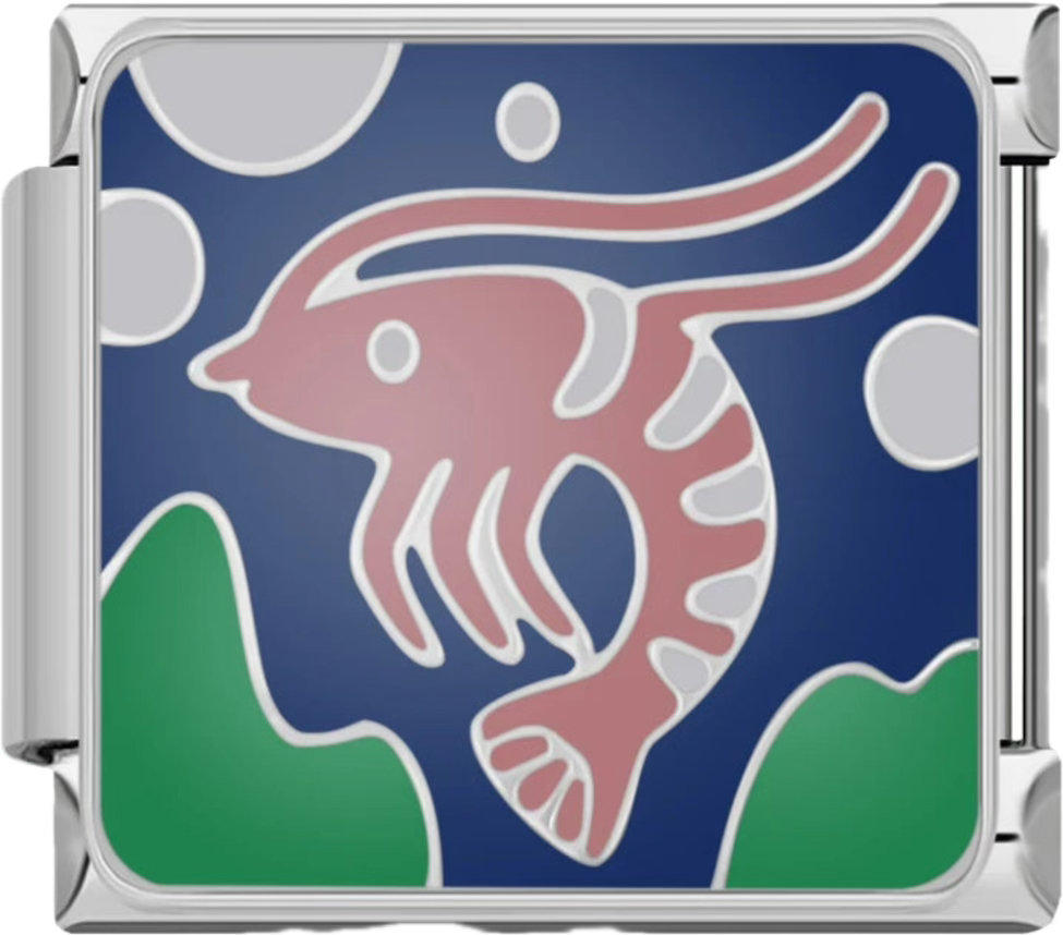 CHARM ANIMALES MARINOS