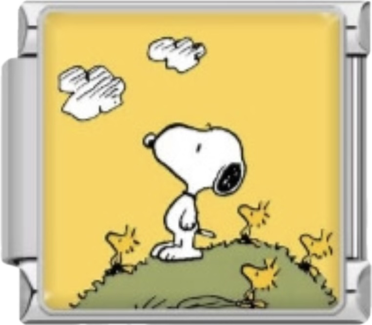 CHARM SNOOPY CIELO