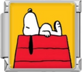CHARM SNOOPY CASITA