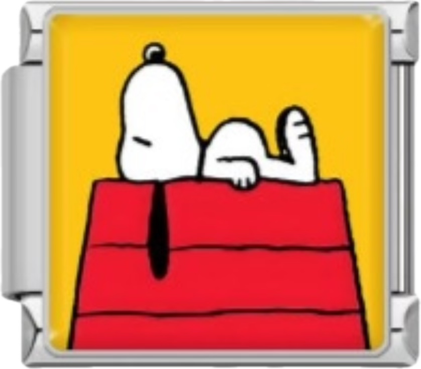 CHARM SNOOPY CASITA
