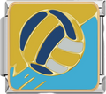 CHARM DEPORTE VOLLEYBALL