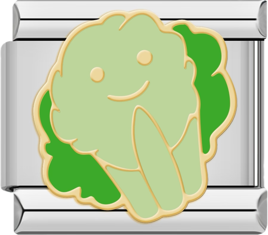 CHARM COMIDA BROCOLI