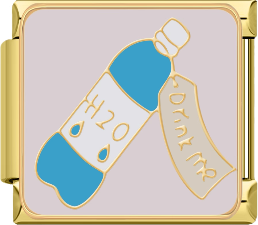 CHARM COMIDA AGUA