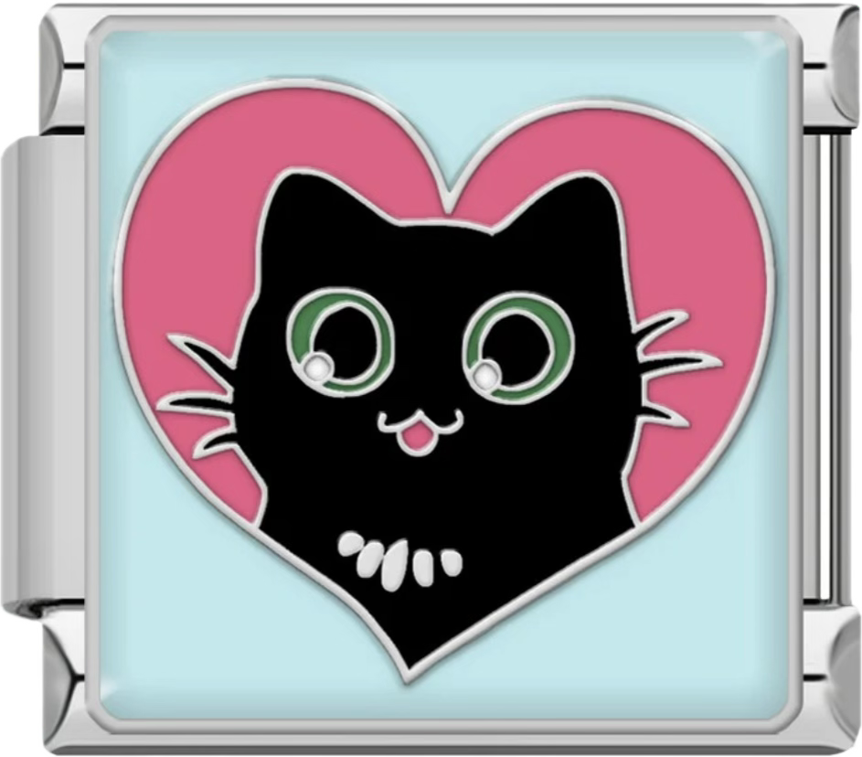 CHARM ANIMALES GATO