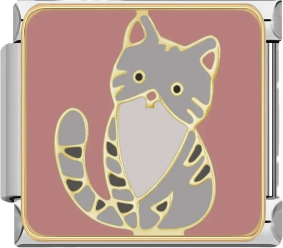 CHARM ANIMAL GATOS
