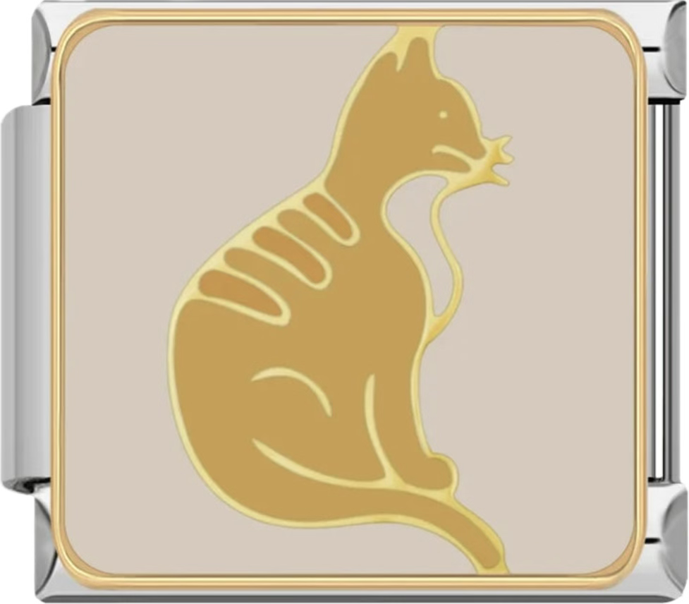 CHARM ANIMAL GATOS