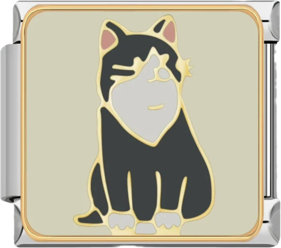 CHARM ANIMAL GATOS