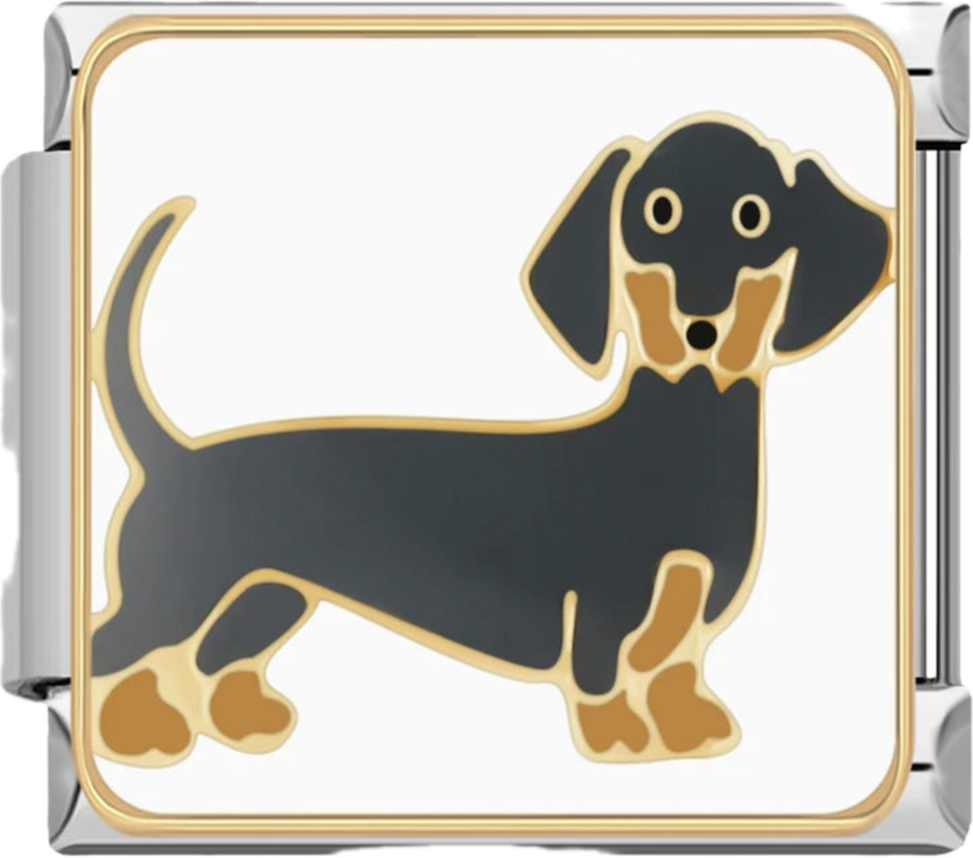 CHARM ANIMAL PERRO