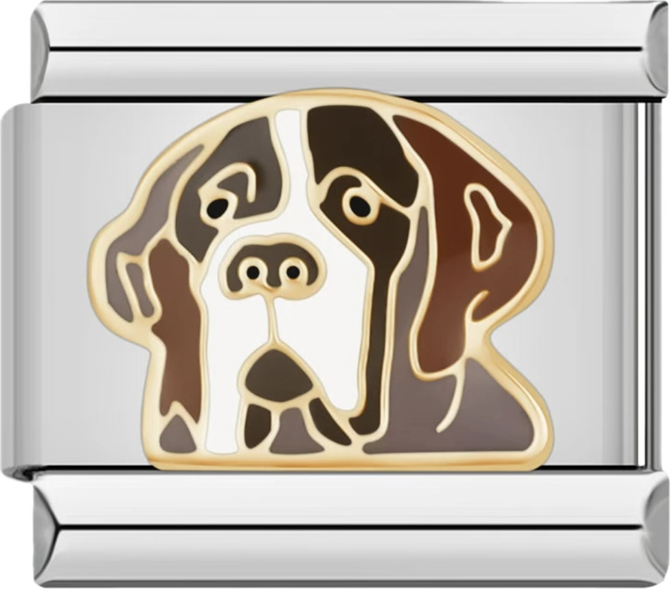 CHARM ANIMAL PERRO
