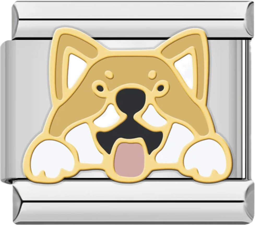 CHARM ANIMAL PERRO