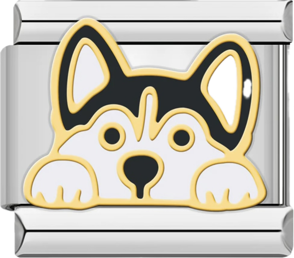 CHARM ANIMAL PERRO