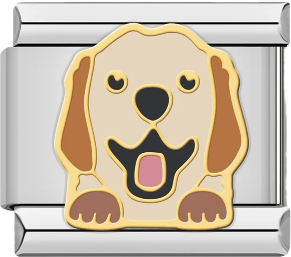 CHARM ANIMAL PERRO
