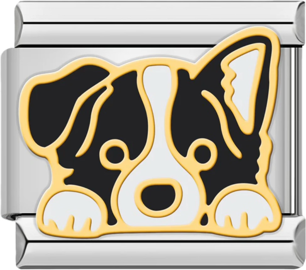 CHARM ANIMAL PERRO