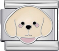 CHARM PERRO
