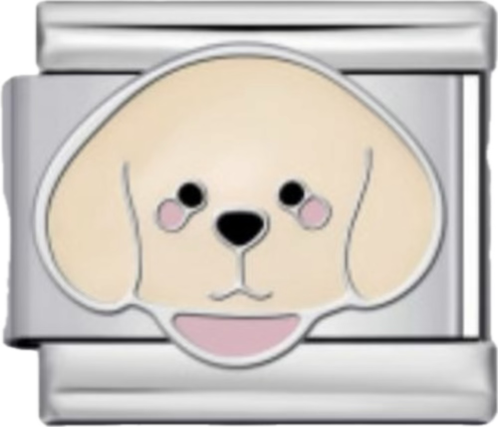 CHARM PERRO