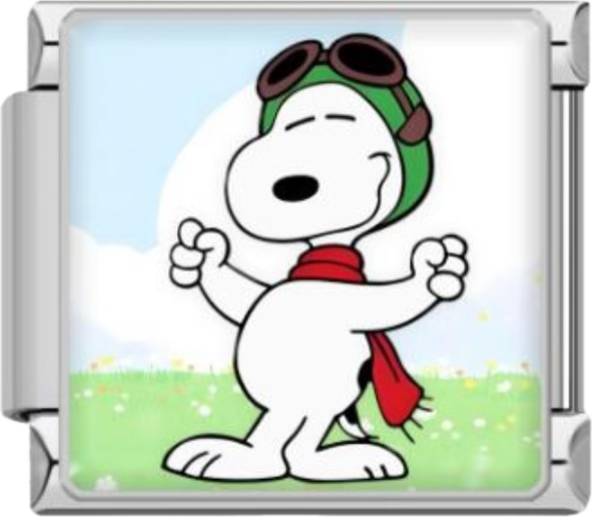 CHARM SNOOPY PILOTO