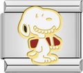 CHARM SNOOOY SONRISA TRINEO