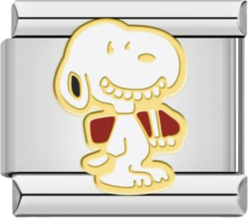 CHARM SNOOOY SONRISA TRINEO