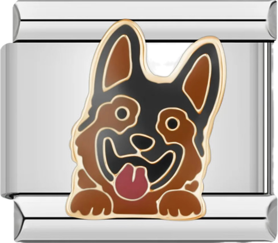 CHARM ANIMAL PERRO