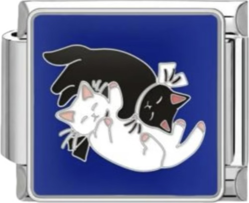 CHARM ANIMALES GATOS