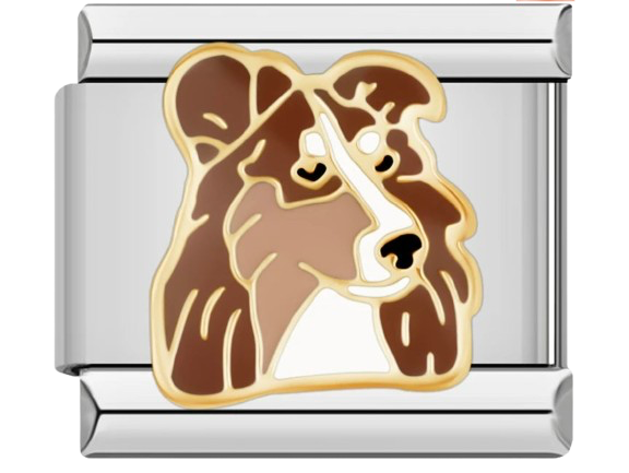CHARM ANIMAL PERRO
