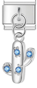 CHARM NATURALEZA CACTUS