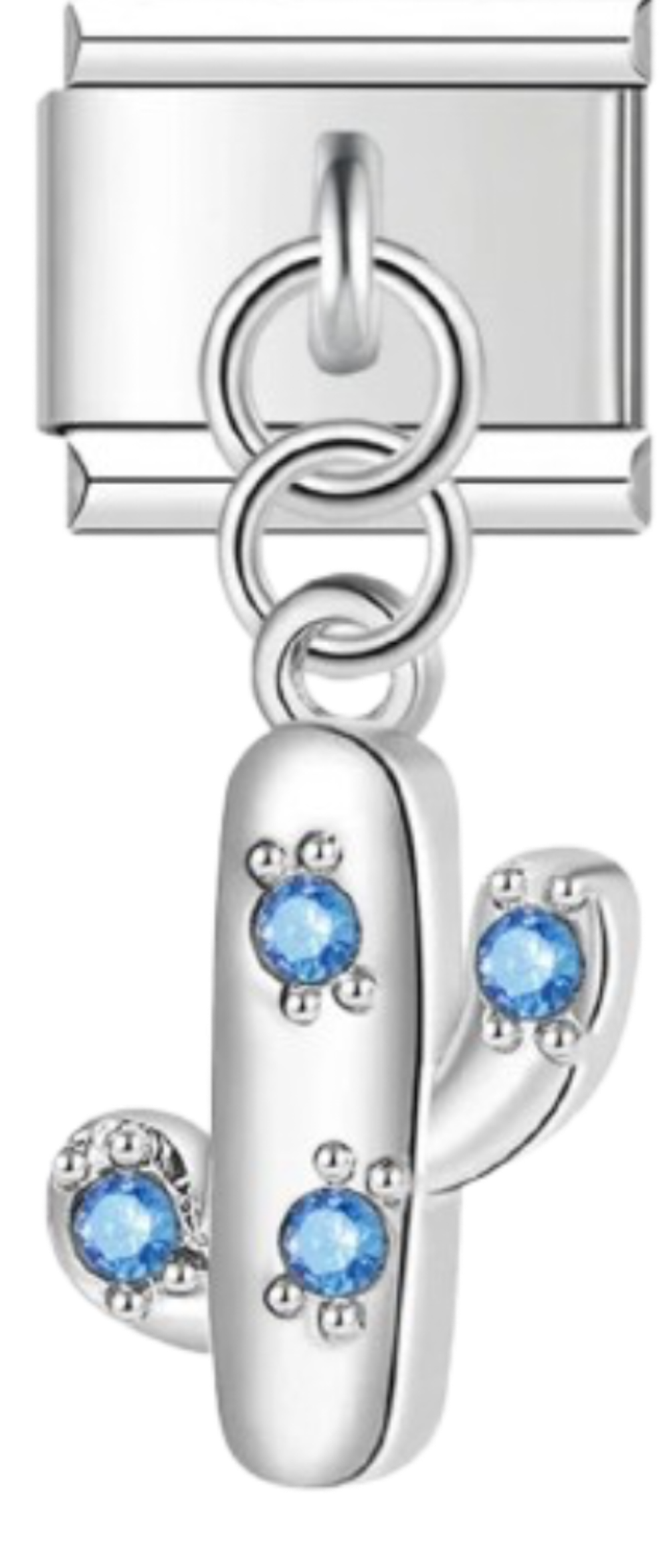 CHARM NATURALEZA CACTUS