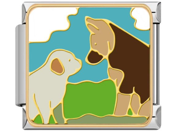 CHARM ANIMALES MANADA