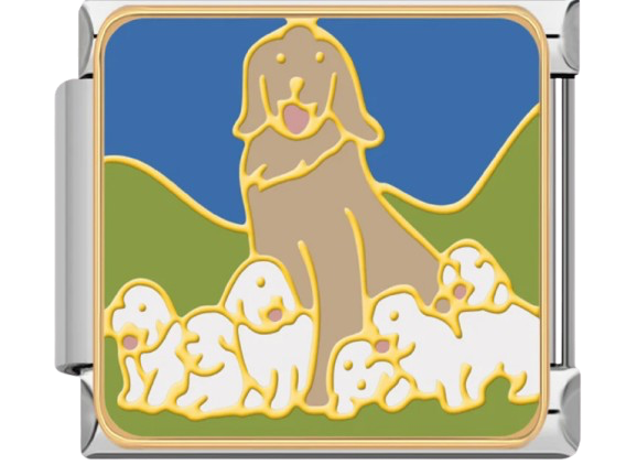 CHARM ANIMALES MANADA