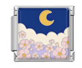 CHARM NATURALEZA LUNA