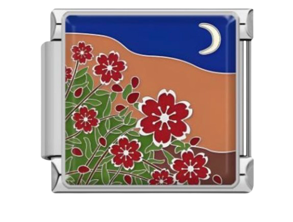 CHARM NATURALEZA LUNA