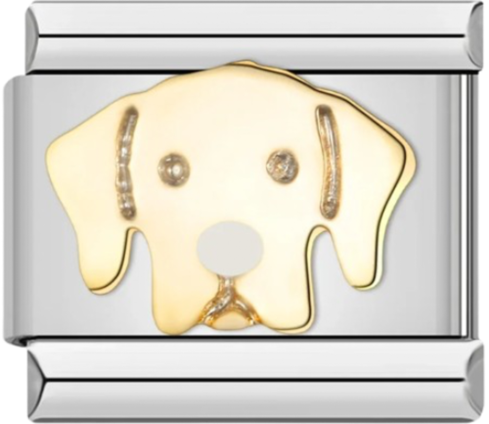 CHARM BICOLOR PERRO
