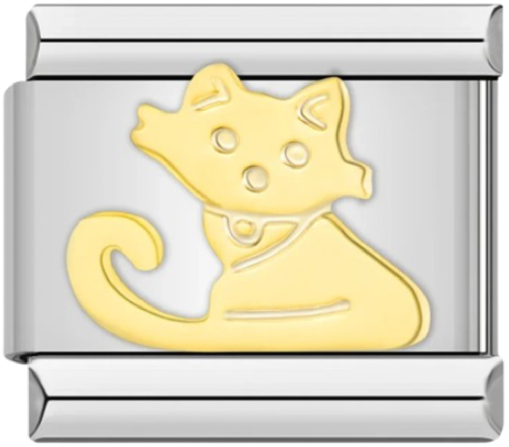 CHARM BICOLOR GATO