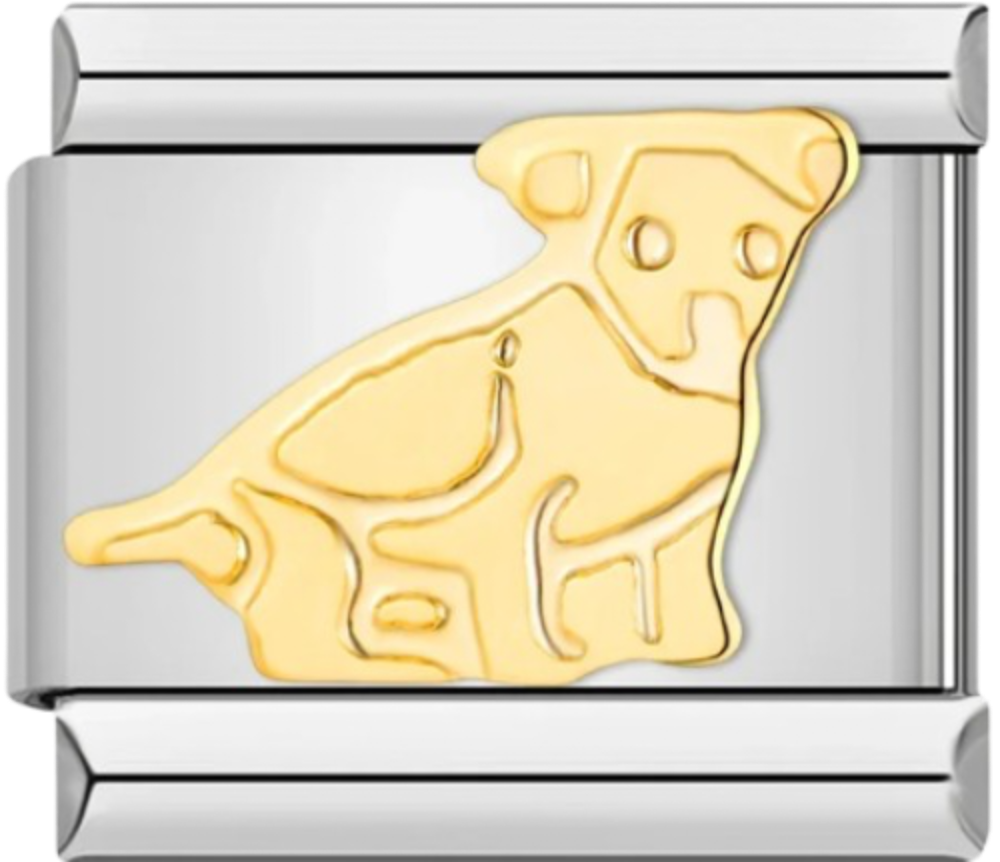 CHARM BICOLOR PERRO
