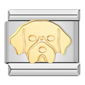 CHARM BICOLOR PERRO