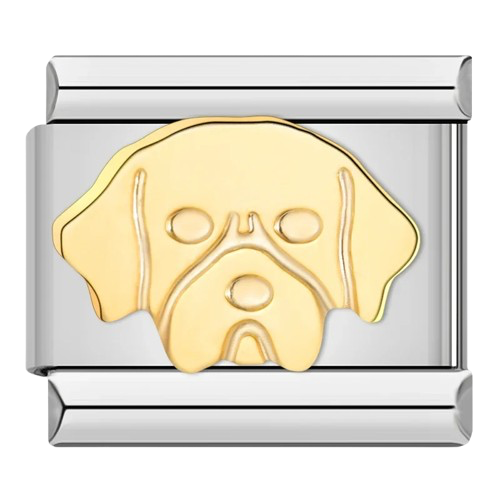 CHARM BICOLOR PERRO