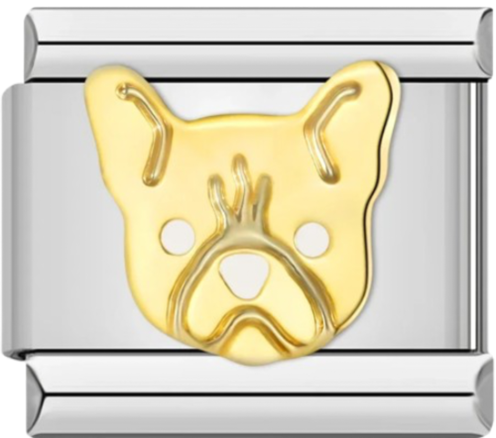 CHARM BICOLOR PERRO