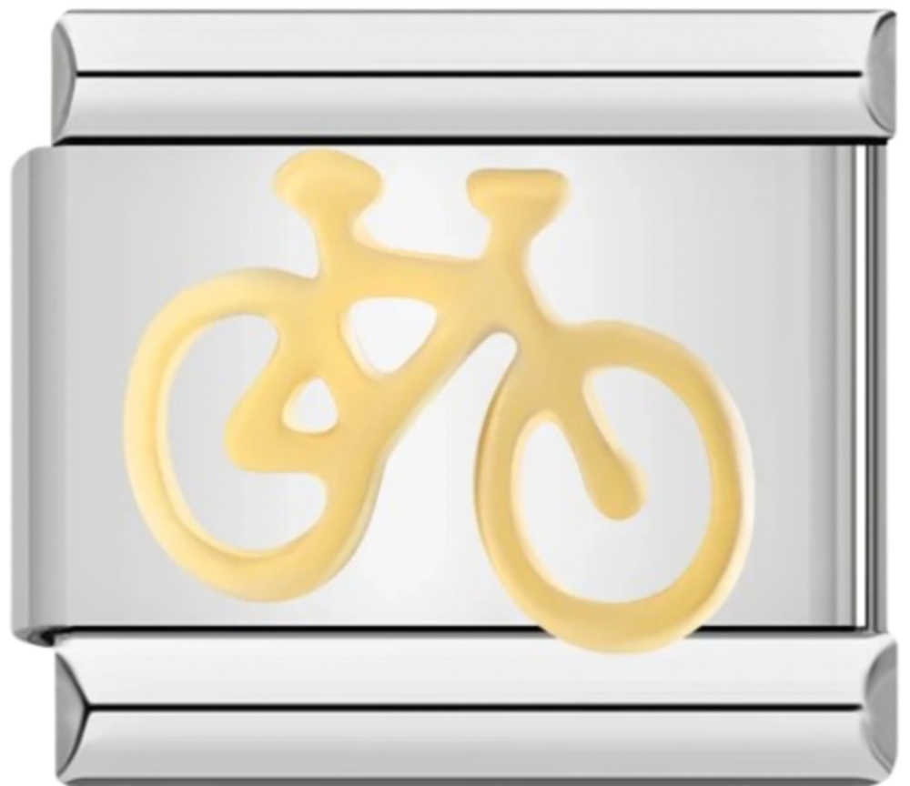 CHARM BICOLOR BICICLETA