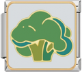 CHARM COMIDA BROCOLI