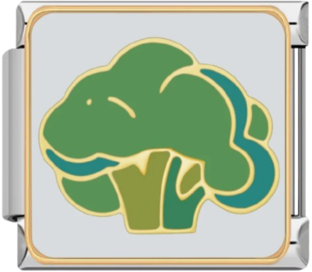 CHARM COMIDA BROCOLI