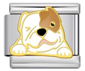 CHARM ANIMALES BULLDOG
