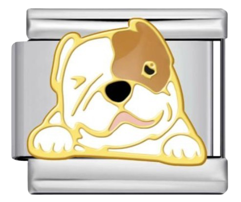 CHARM ANIMALES BULLDOG