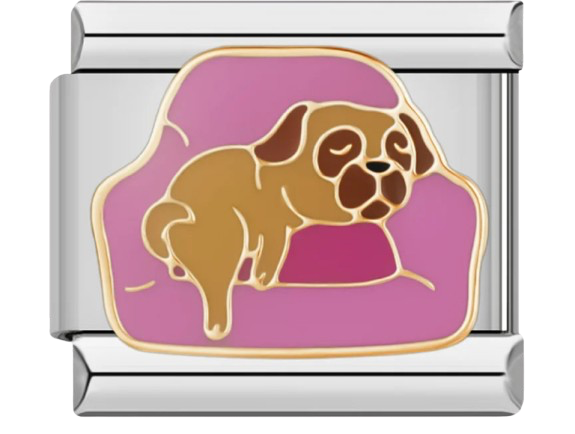 CHARM ANIMAL PERRO