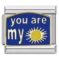 CHARM FRASE YOU ARE MY SUNSHINE