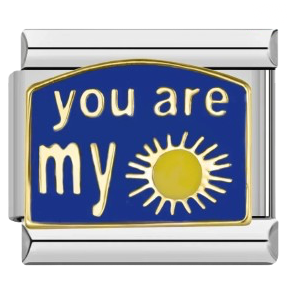 CHARM FRASE YOU ARE MY SUNSHINE